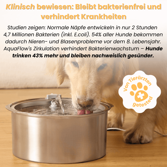 AquaFlow™ - Der antibakterielle Trinkbrunnen mit Filtration