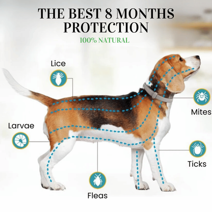 BIO-COLLAR™ 8+ Months Protection against Flea & Tick