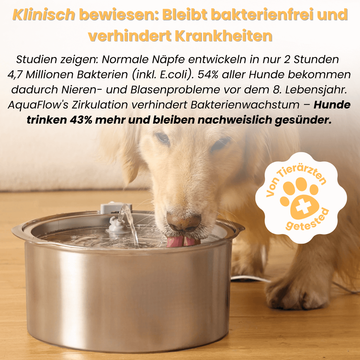 AquaFlow™ - Der antibakterielle Trinkbrunnen mit Filtration