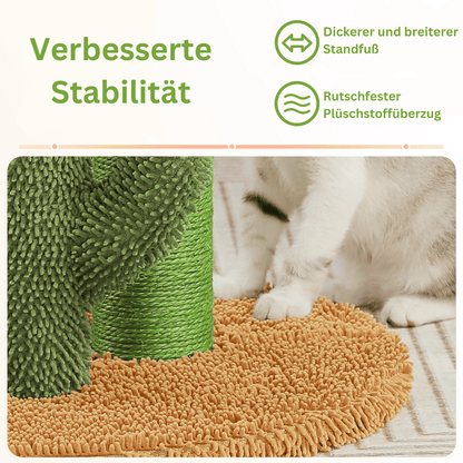 Der KratzKaktus